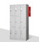 Governo ISO9001 di immagazzinamento nell'armadio del metallo del rivestimento della polvere di 9 porte