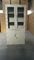 Casellari della piattaforma del doppio di cromatografia con la porta a battenti di vetro